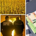 Razbijena narko-mreža u međunarodnoj akciji "Šenbrun": Uhapšeno osam osoba zbog proizvodnje i prodaje marihuane