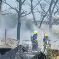 Gori šuma kod Zrenjanina Širi se gust dim: Na terenu vatrogasci (video)