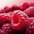 Srpske maline na dobrom glasu - sistem kontrole dobio pozitivnu ocenu EU