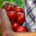 Srpski agrar sve više zavisi od subvencija, ali proizvodnja ne prati rast državne pomoći
