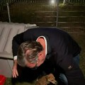 Vučić otkrio šta će biti sa štencima koje je nedavno udomio: "Jednog sebi ostavljam sigurno, ostale će uzeti komšije"