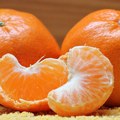 Prekršajni postupak protiv izvoznika mandarina