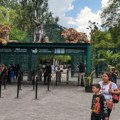 Strava i užas u zoo vrtu Monstrum prišao veterinarki s leđa i kandžama je zgrabio za jaknu, posetioci posmatrali u šoku…