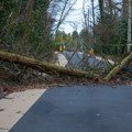 Olujno nevreme i tornado izazvali štetu na zapadu Belgije: Oborena stabla, uništeni automobili, ima povređenih