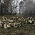 Uživo Rusi objavili: Ukrajina se povlači FOTO/VIDEO