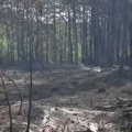 Požar u Deliblatskoj peščari: Ekološka katastrofa razotkrila greške u gazdovanju i novu klimatsku realnost