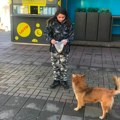 Devojčica iz Prokuplja od novca koji dobija za šetanje pasa kupuje hranu za napuštene životinje