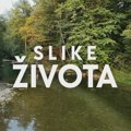 Slike života, nedelja od 15.15: Voda je tapija svih kapija