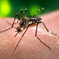 Obaveštenje o akciji suzbijanja komaraca na teritoriji grada Vranja