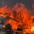 Meštani sela kod Ivanjice u strahu "Ne možemo da verujemo da je neko bio u stanju ovo da uradi" (Foto)