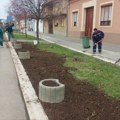 Žardinjerama protiv bahatog parkiranja: Oštećen travnjak u dva bulevara i u dve ulice u Vršcu