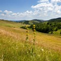 Za plac od sedam ari kod divčibara traže 7.000 evra! Papiri uredni, smešten pored glavnog puta, ima i vodovod