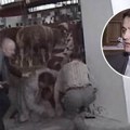 Srpski političar brutalno ubijen u prenosu uživo: Prišao mu sa leđa i pucao u potiljak, sve snimile kamere (Video)