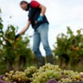 Kako klimatske promene utiču na privredu Srbije