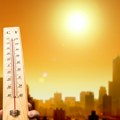 Pakao na Zemlji: Temperature prešle 50 stepeni;Ostaju bez vode FOTO