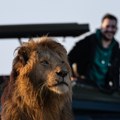 (Foto): Malo popravlja zube ljudima, malo spava sa hijenama po Africi: Uzbudljiv dvostruki život stomatologa iz Beograda i…