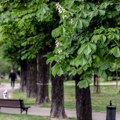 Grad je za samo 6 evra po stanovniku snizio temperaturu za 2 stepena: Rešenje protiv vrućina oduševilo je stručnjake
