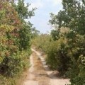 Uništavanje neeksplodiranih ubojnih sredstava: Na lokaciji Mala Brezovica od 21. do 28. septembra