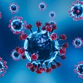 “Novi soj koronavirusa ima mnogo mutacija, blagi porast broja novozaraženih”