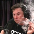 Wall Street Journal: Elon Musk uzima nekoliko vrsta droge