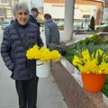Marica prodaje najlepše cvetove narcisa