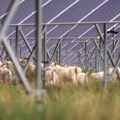 Morski zmajevi i konj u galopu - kako podvodne vetrenjače i solarne farme stvaraju održivu energiju