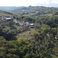 Ima hektar malina, punu štalu stoke i samo 21 godinu i ne pomišlja da napusti selo