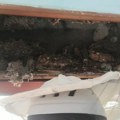 Agresivni su, ekstremno opasni, lete brzinom od 60 km na čas: Ovaj insekt pojavio se u Hrvatskoj, pitanje vremena kada će i…