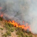 Ponovo se aktivirao požar kod Lučana: Ugroženo više od 100 hektara šume: "Kuće koje se nalaze u neposrednoj blizini biće…