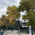 U Leskovcu jutros -1, a onda pravo letnje vreme: Temperatura danas do 28 stepeni