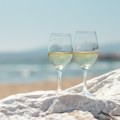 Predlog 10 letnjih vina za uživanje