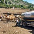 Obezbeđena voda za životinje na Suvoj planini. Ministar Glamočić poručio: Država pomaže, ali voda za stoku je obaveza vlasnika…