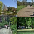 Koliko dobro poznajemo „tajne” novosadskih parkova: između urbanog ritma i tišine prirode