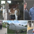 „Svake godine uzmemo po neku mašinu da sebi olakšamo! Veljko (21) je sa suprugom Tijanom ostao na dedovini: Na više od 30…