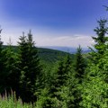 Skriveni dragulj netaknute prirode: Ova prelepa srpska planina je idealna opcija za miran letnji odmor