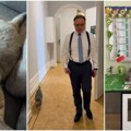 Mačak belgijskog premijera predviđa rezultate Svetskog prvenstva (Foto)