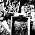 Шта да радите кад пронађете 40.000 тела сахрањених испод куће