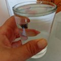 Deo sela ostao bez vode, u Akumulaciji dobar nivo