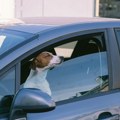 Da li ostavljate prozor blago otvoren da biste sprečili pregrevanje automobila? Test pokazuje koliko to zapravo pomaže