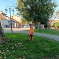 Uređenje Niša na više lokacija: Ekipe „Mediane“ čiste ulice, uređuju zelenilo i orezuju stabla