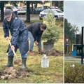 Нови Сад памти За трагично страдале у паду надстрешнице посађено 16 борова на лиману