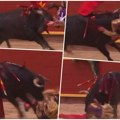 (Uznemirujuće) Besna zver divljački proburazila matadora! Nesrećnog čoveka bik bacio u vazduh, a onda je usledio horor -…