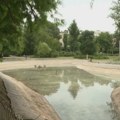 Jezero presušilo, Norvežanin spasavao ribe u Dunavskom parku: Grad se pravda tvrdnjom da riba nije ni trebalo da bude