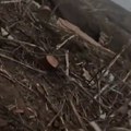 Snimak direktne rovovske borbe iz prvog lica: Ruski padobranci zauzeli neosvojivo uporište, predloženi za medalje
