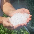 Nevreme opustošilo sela, uvedena vanredna situacija: Grad napravio haos na njivama i putevima kod Nove Varoši