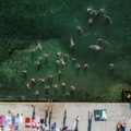 Gujon: Više od 750 dece iz srpskih enklava na Kosovu i Metohiji vodili smo na more tokom prethodnih 15 godina