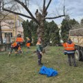 JKP Šumadija: komunalni radovi i košenje zelenih površina u Kragujevcu, 16. oktobra