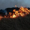 Zbog paljenja strnjike čak 15.000 požara prošle godine. U Srbiji pokrenuta kampanja „Ne pali strnjiku“