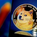 Uginula Kabosu, keruša koja je inspirisala viralni "doge" mim i kriptovalutu Dogecoin