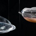 Davanje glasa tlu: Beogradski institut za genetiku učestvovao u projektu za Paviljonu Crne Gore na Bijenalu arhitekture u…